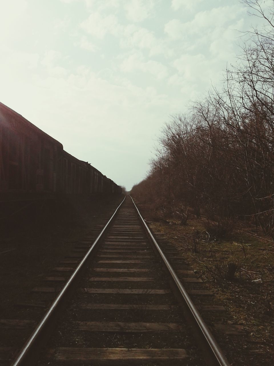 railroad track, rail transportation, transportation, the way forward, diminishing perspective, sky, vanishing point, public transportation, railway track, cloud - sky, tree, straight, day, cloud, no people, outdoors, built structure, nature, connection, cloudy