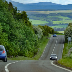 Car on road amidst trees against sky