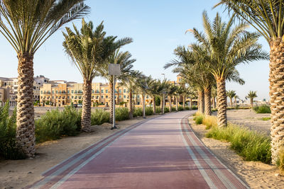 Road by palm trees against sky in city