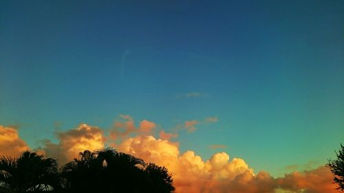 Low angle view of trees against sky