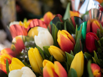 Close-up of multi colored tulips in market for sale