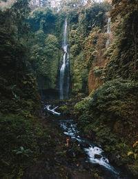 Waterfall in forest