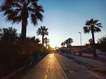 Silhouette palm trees by footpath against sky during sunset