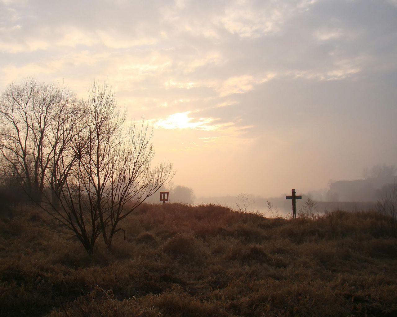 sky, tranquility, tranquil scene, bare tree, scenics, landscape, beauty in nature, tree, field, nature, cloud - sky, sunset, silhouette, grass, non-urban scene, weather, cloudy, idyllic, fog, branch