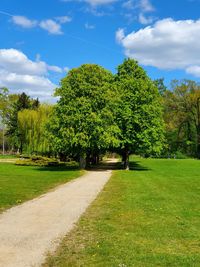 Trees in park against sky