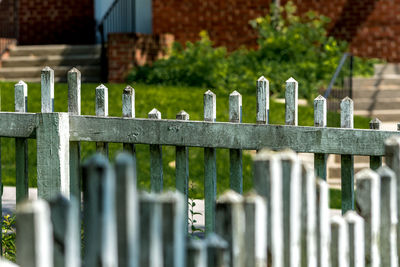 Close-up of snake on railing