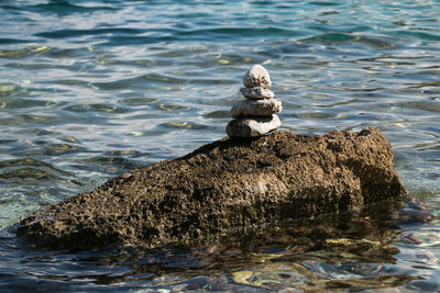 View of bird on rock in sea