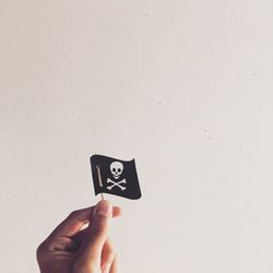 Man holding pirate flag