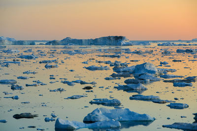 Ice floating on water at sunset