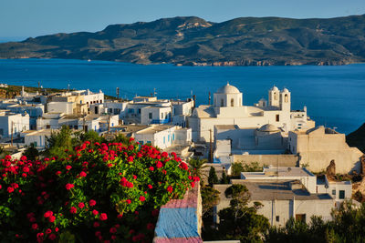 Picturesque scenic view of greek town plaka on milos island over red geranium flowers