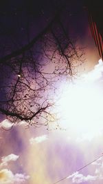 Low angle view of bare trees against sky