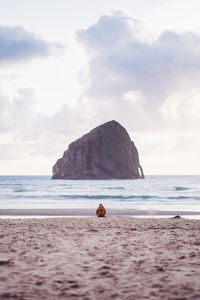 Rear view of person in sea against sky