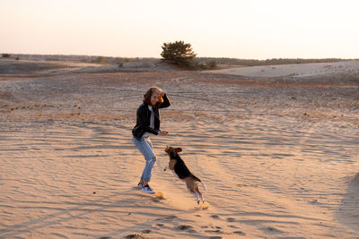 Full length of a dog on beach