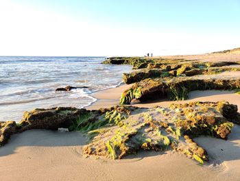 Scenic view of sea against clear sky