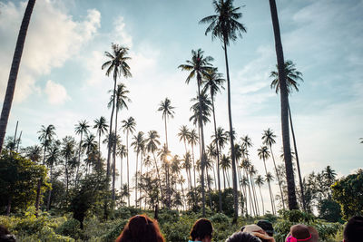 Panoramic shot of palm trees against sky