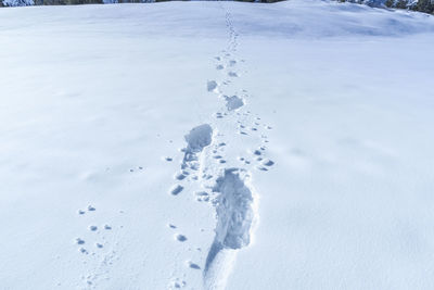 A thick layer of snow with foots prints in it