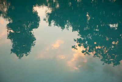 Full frame shot of tree reflection in water