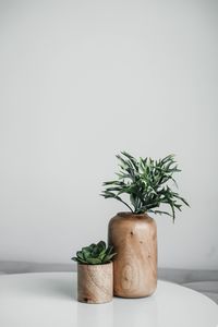 Potted plant on table against wall