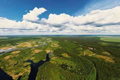 Aerial view of river floodplan and green forest in summer day