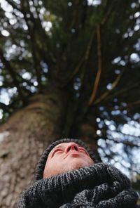 Low angle view of man on tree in forest