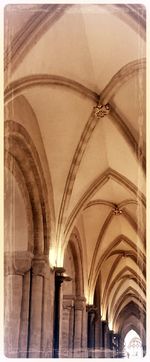 Low angle view of architectural columns