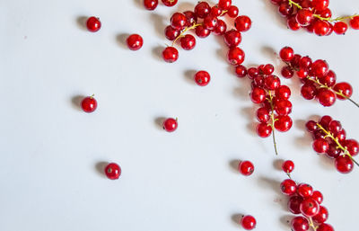 High angle view of red berries over white background