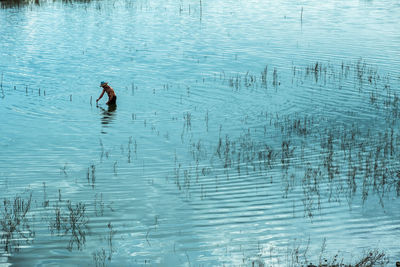 High angle view of swimming in lake