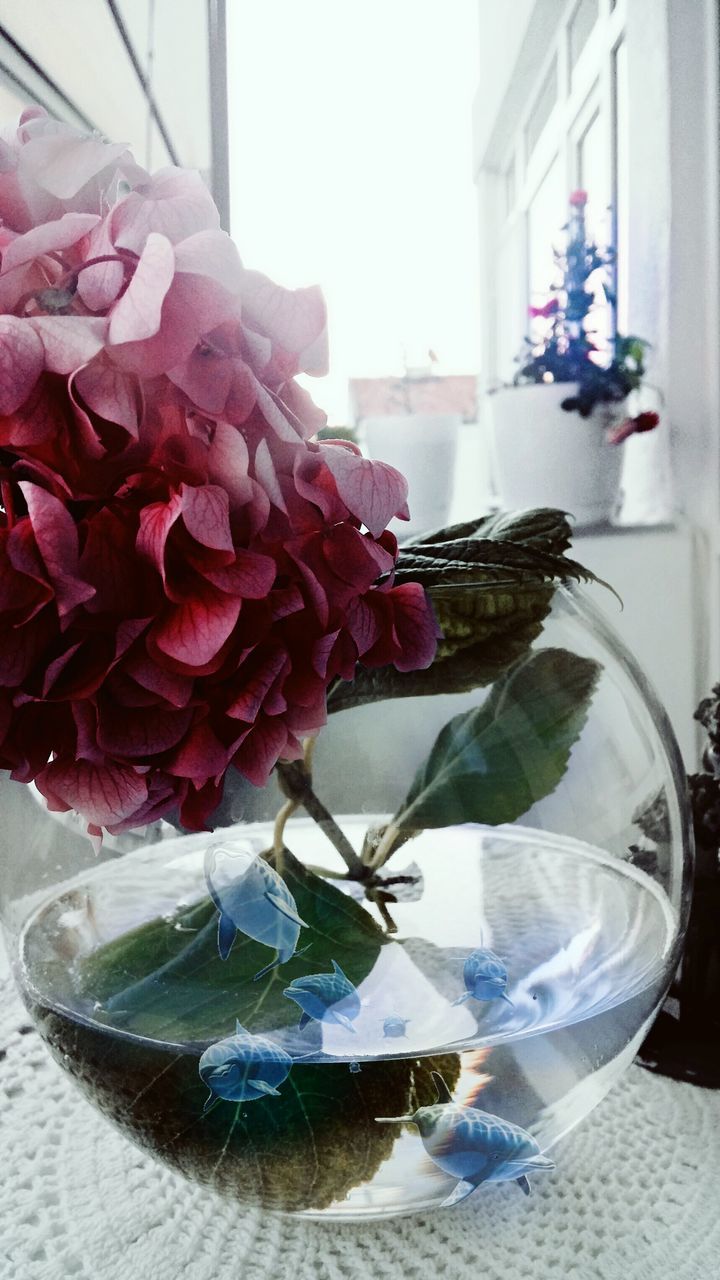 flower, vase, petal, fragility, flower head, table, indoors, plant, no people, day, nature, freshness, window, beauty in nature, rose - flower, close-up, growth, bouquet