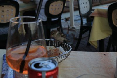 Close-up of bird eating food on table