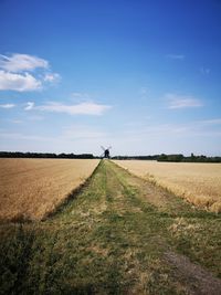 Scenic view of agricultural field against blue sky