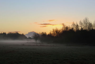 Silhouette trees on field against sky during sunset