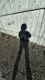 Shadow of man on wall