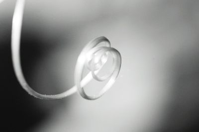 Close-up of object over black background