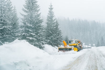 Scenic view of snow covered landscape