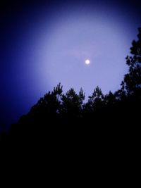 Low angle view of silhouette trees against sky at night