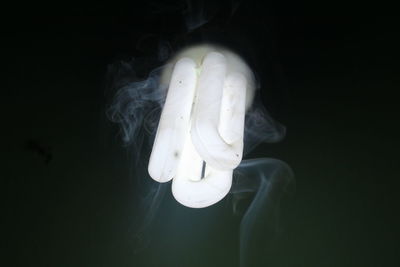 Close-up of jellyfish against black background