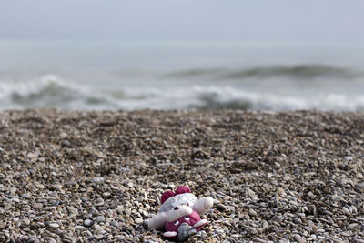 Stuffed toy on pebbles at beach
