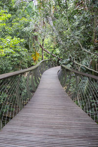 Walkway amidst trees in park