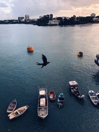 View of boats in sea