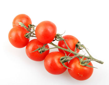 Close-up of tomatoes against white background