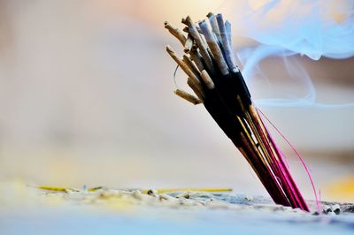 Close-up of burning incense sticks