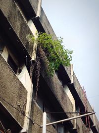 Low angle view of building