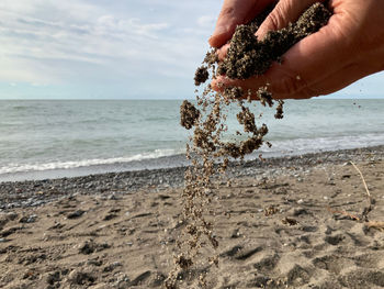 Cropped hands playing with sand against sea