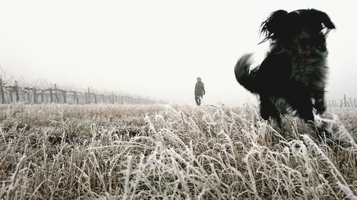 Woman with dog on field against sky