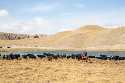 Group of people walking on desert