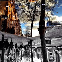 architecture