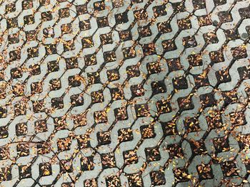 High angle view of candies on field