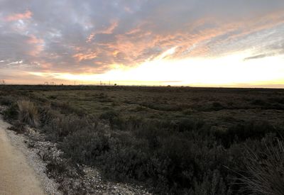 Scenic view of field against sky during sunset