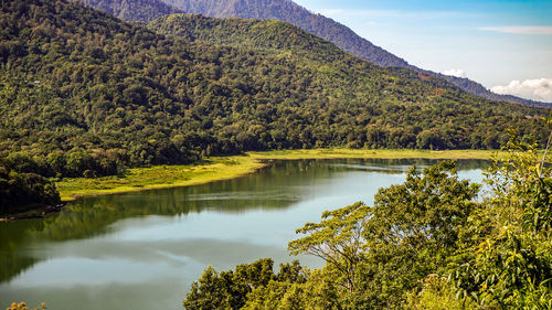 Scenic view of lake by trees against sky