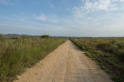 Dirt road along countryside landscape